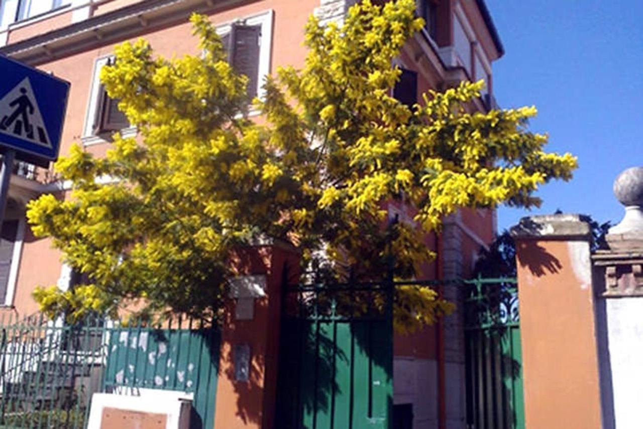 Garden Flat By Vatican Walls โรม ภายนอก รูปภาพ